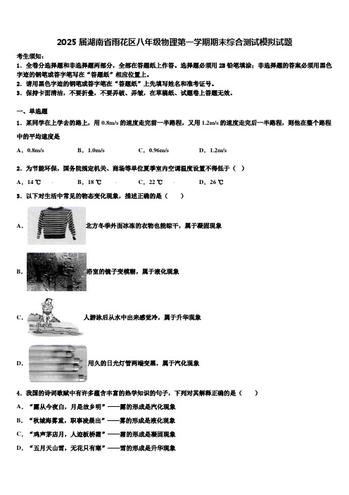 2025届湖南省雨花区八年级物理第一学期期末综合测试模拟试题含解析