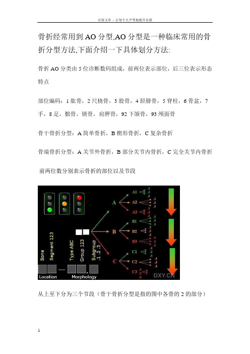 AO分型详细解说