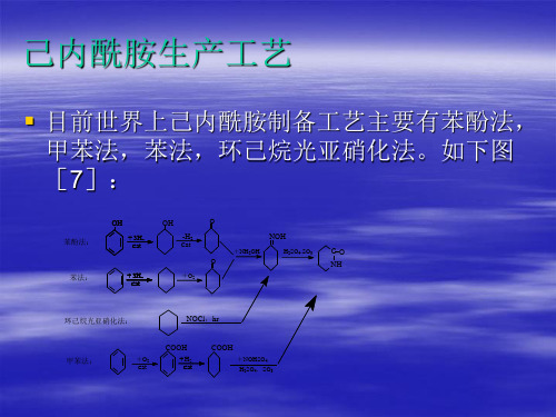 己内酰胺生产工艺