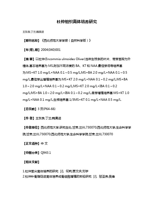 杜仲组织离体培养研究