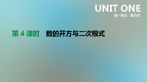 2021年中考数学专题复习第一单元数与式第04课时数的开方与二次根式课件