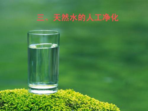 人工净化