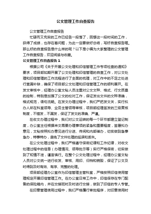 公文管理工作自查报告