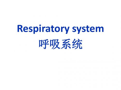 呼吸系统(caobo)课件