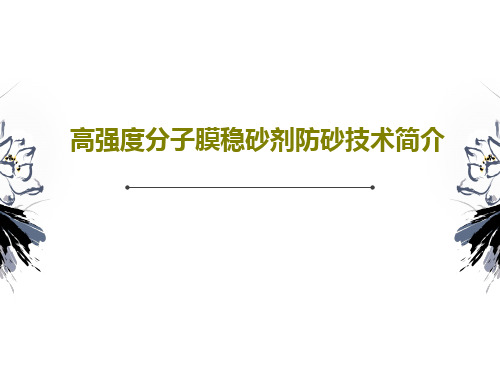 高强度分子膜稳砂剂防砂技术简介PPT共22页