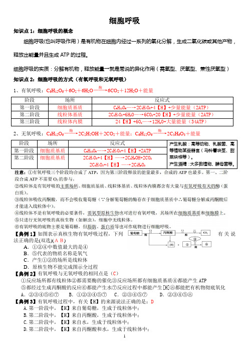 细胞呼吸一轮复习教学案(教师版)