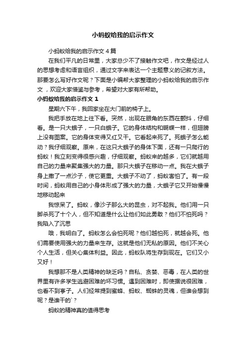 小蚂蚁给我的启示作文4篇