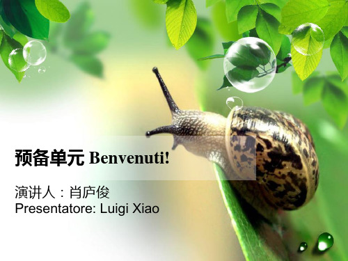 新视线意大利语预备单元Benvenuti-A