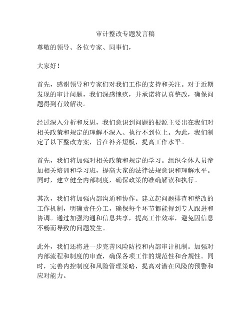 审计整改专题发言稿