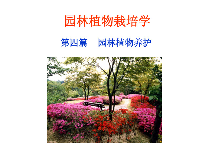 园林树木栽培学——园林植物养护