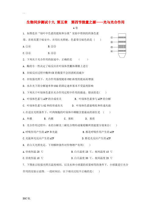 高中生物 第五章 第4节 能量之源 光与光合作用同步测试 新必修1-人教版高一必修1生物试题