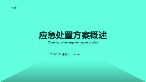 2023年某矿业公司班组作业现场应急处置方案 (2)