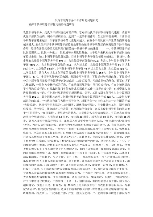 发挥非领导职务干部作用的问题研究