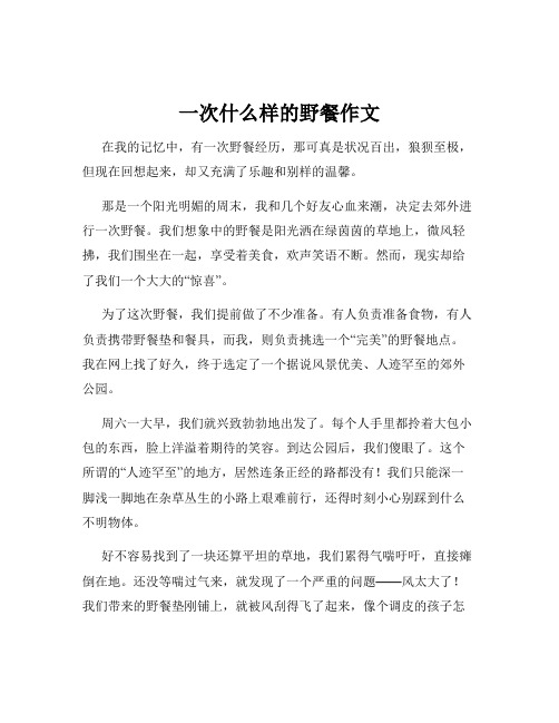 一次什么样的野餐作文