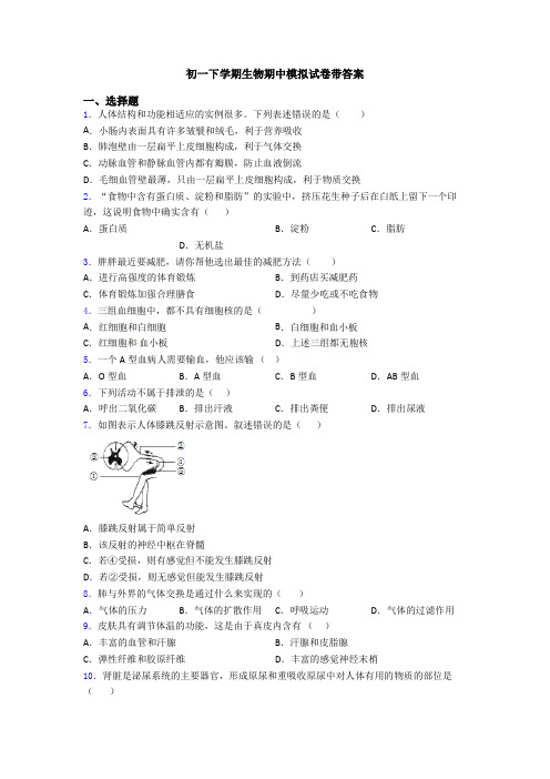 初一下学期生物期中模拟试卷带答案