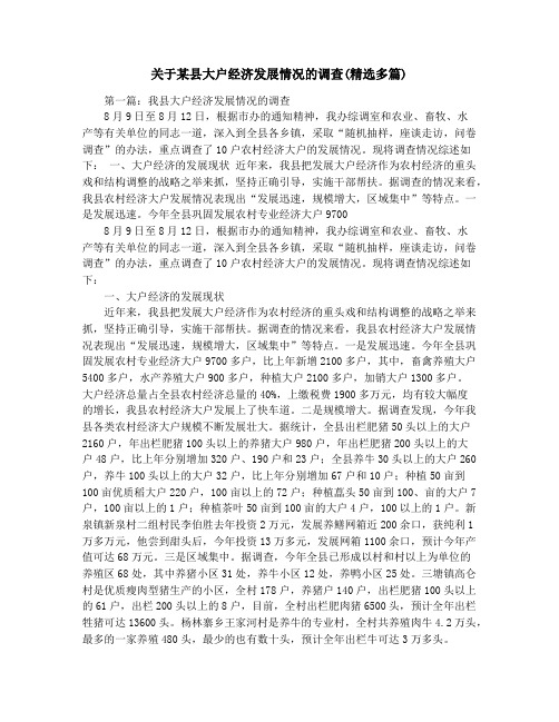 关于某县大户经济发展情况的调查(精选多篇)