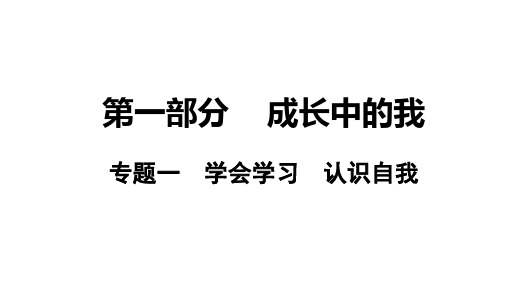 广东中考道德与法治总复习专题突破课件：专题一 学会学习 认识自我