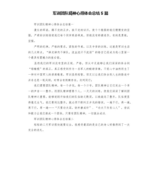 军训团队精神心得体会总结5篇