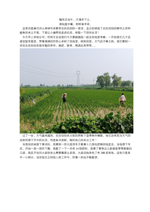 谁知盘中餐,粒粒皆辛苦