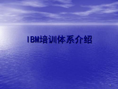 《IBM培训体系介绍讲解课程课件》37页