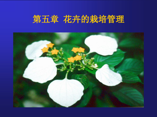 花卉栽培学(5第五章  观赏花卉的栽培管理