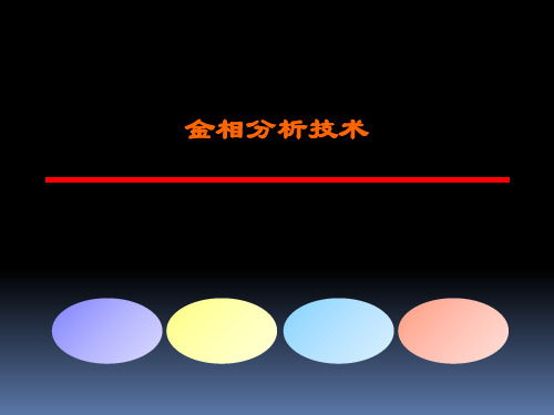 金相分析技术ppt课件ppt课件