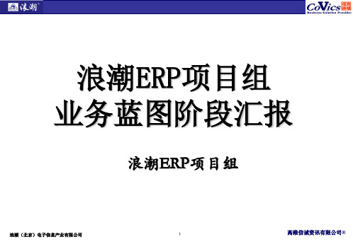 浪潮ERP项目业务蓝图汇报p描述