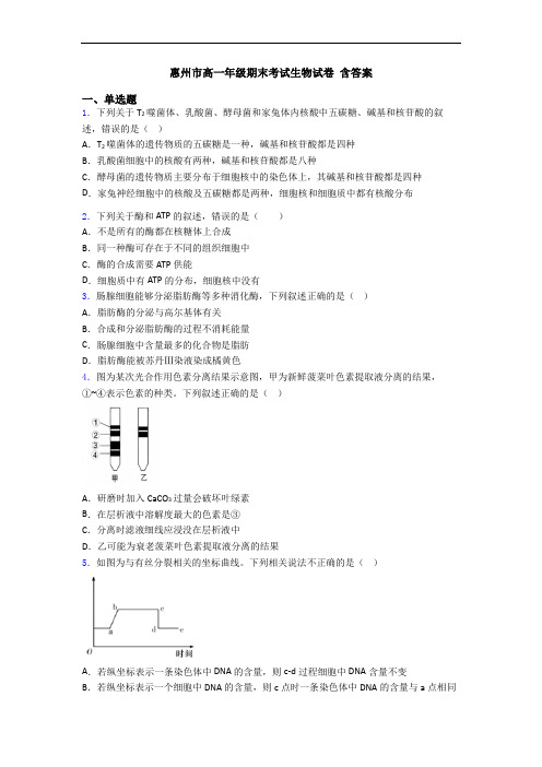 惠州市高一年级期末考试生物试卷 含答案