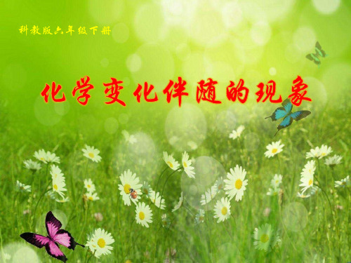 【教科版】化学变化伴随的现象ppt完美课件1