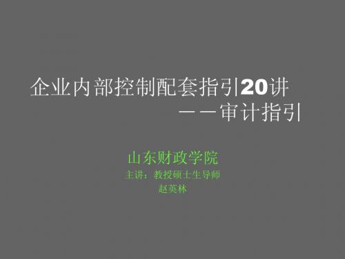 企业内部控制配套指引二十讲20