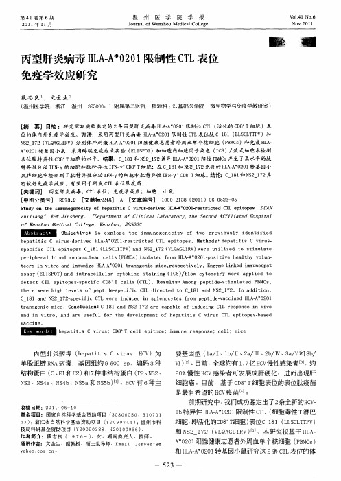 丙型肝炎病毒HLA-A＊0201限制性CTL表位免疫学效应研究