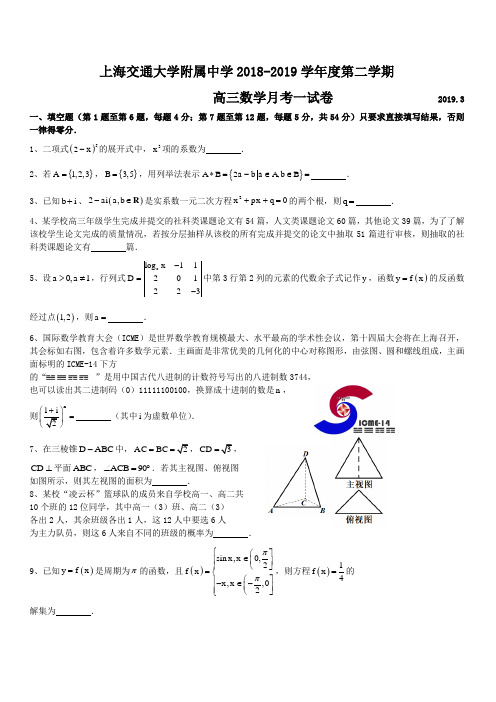 上海交通大学附属中学2019届高三3月月考数学试题含答案