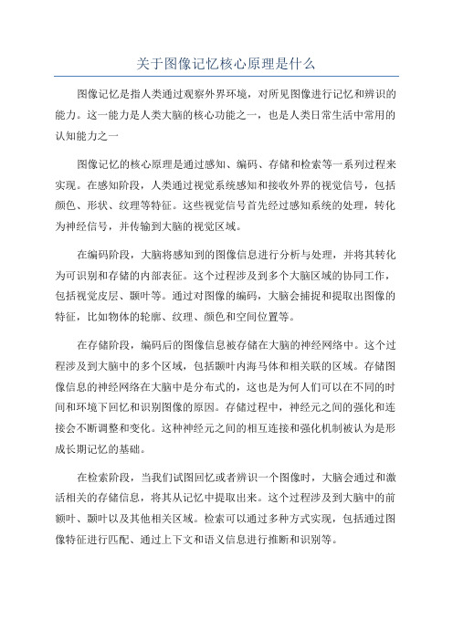 关于图像记忆核心原理是什么