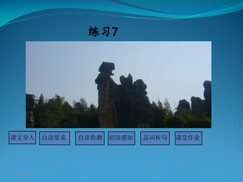 苏教版二级下语文《练习7 》(共32张PPT)