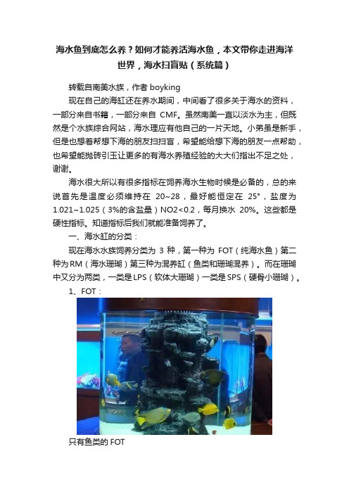 海水鱼到底怎么养？如何才能养活海水鱼，本文带你走进海洋世界，海水扫盲贴（系统篇）