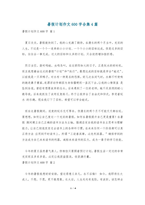 暑假计划作文600字合集4篇