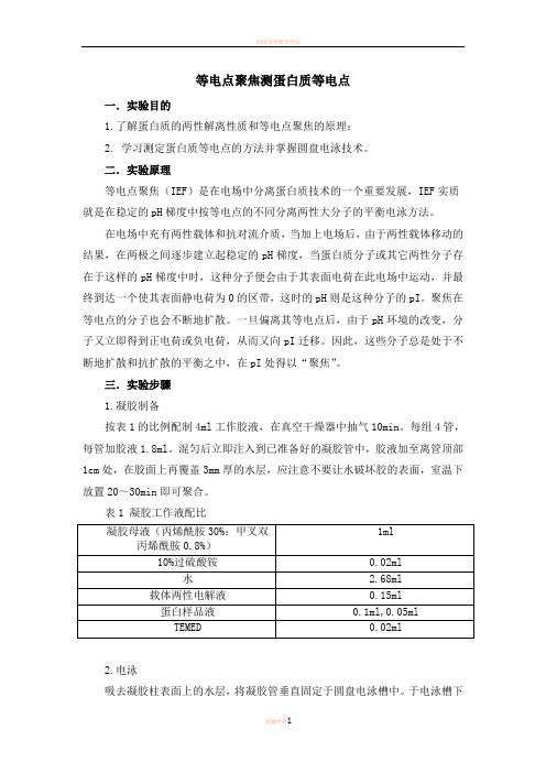 实验报告等电点聚焦测蛋白质等电点