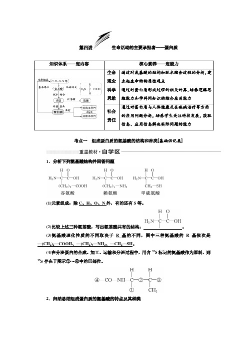 2020版高考生物一轮复习通用版     生命活动的主要承担者——蛋白质