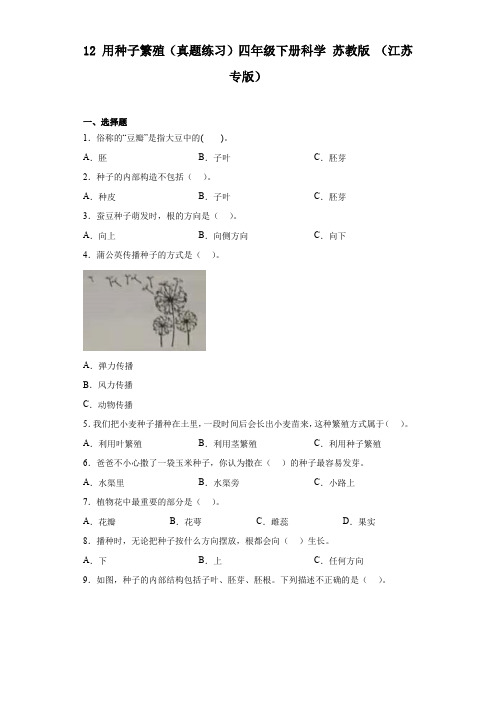 用种子繁殖(真题练习)四年级下册科学苏教版(江苏专版)