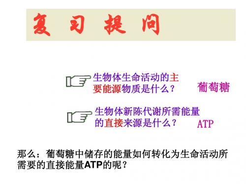 浙科生物必修1第三章第四节 细胞呼吸正式