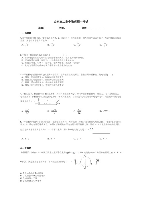 山东高二高中物理期中考试带答案解析
