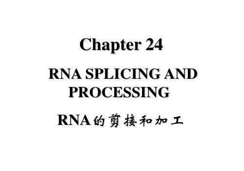 基础分子生物学课件Chapter24 RNA的剪切与加工