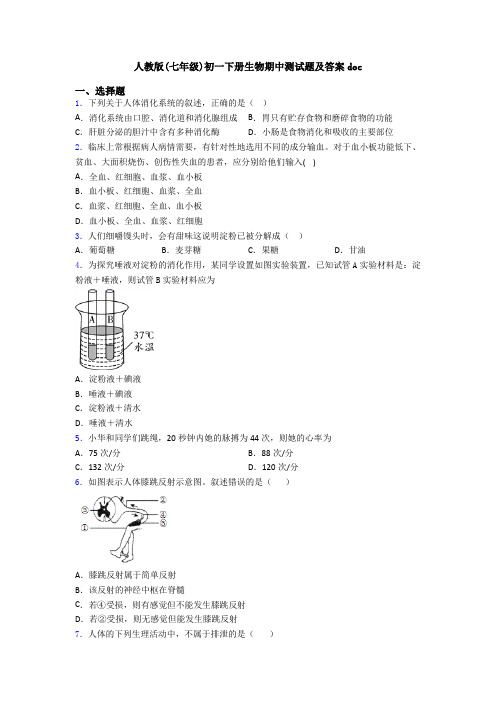 人教版(七年级)初一下册生物期中测试题及答案doc