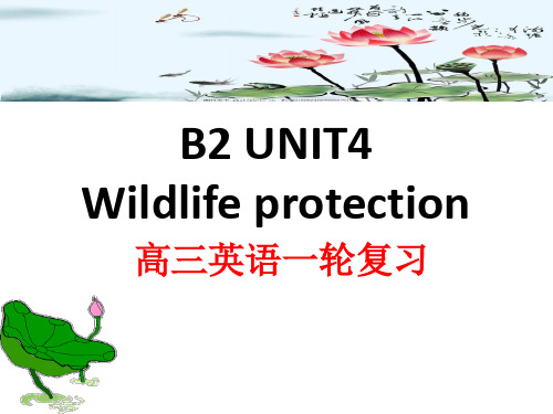 2021届人教版新课标必修二高三英语一轮复习 unit4 Wildlife protection (34张PPT)