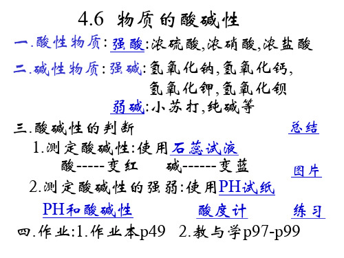 第4875号物质的酸碱性