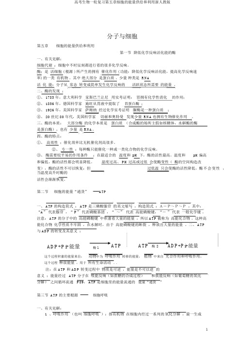 高考生物一轮复习第五章细胞的能量供应和利用新人教版