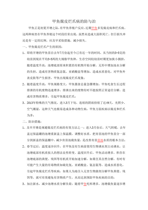 甲鱼腐皮烂爪病的防与治