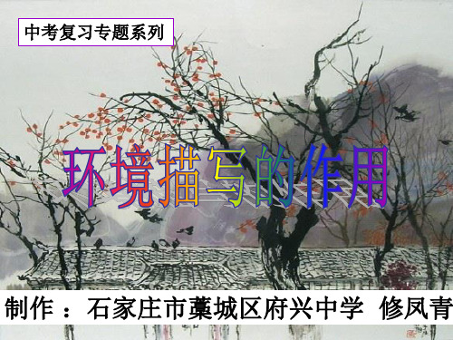 环境描写的作用