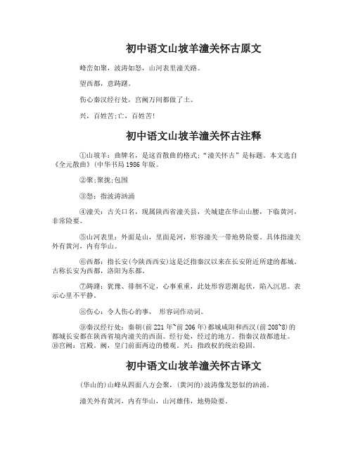 初中语文山坡羊潼关怀古复习资料