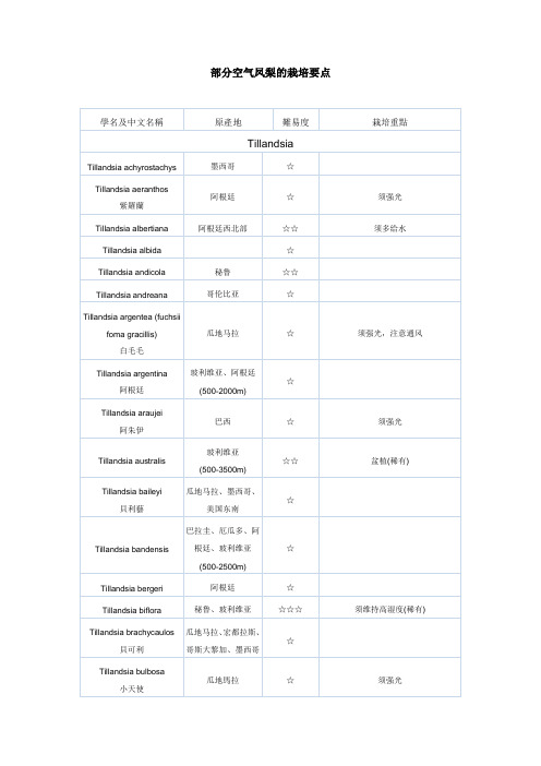 部分空气凤梨的栽培要点